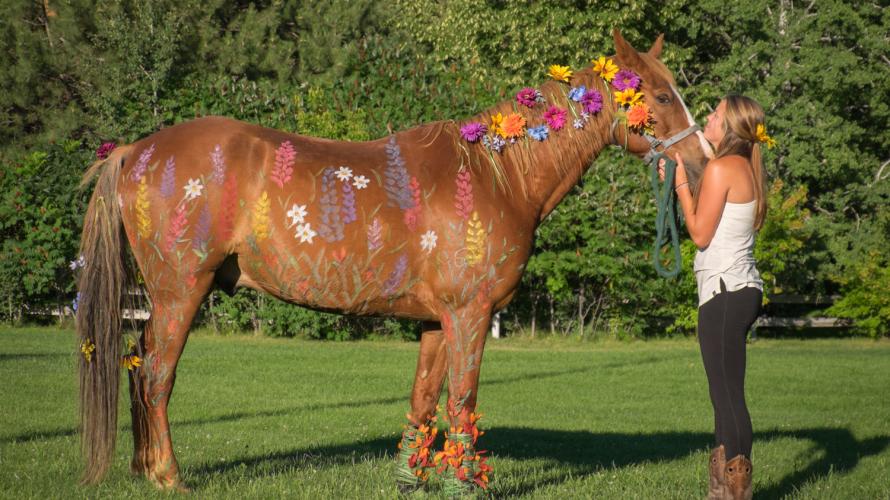 dunrovin-celebrates-the-human-horse-bond-distinctly-montana-magazine